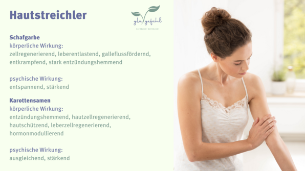 Hautstreichler 2