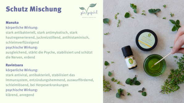 Schutz Mischung 2